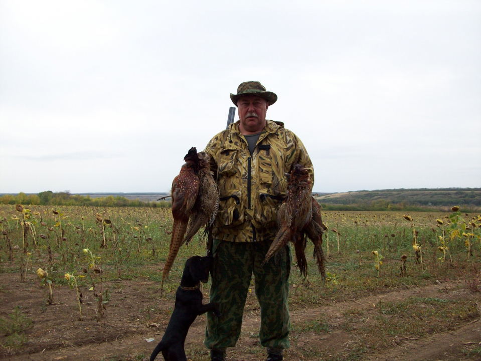 Охота на гуся в тамбовской области