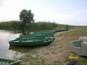 Флот готов Ст. Веселая