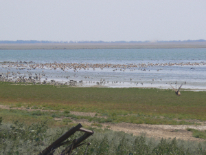 Охота и рыбалка